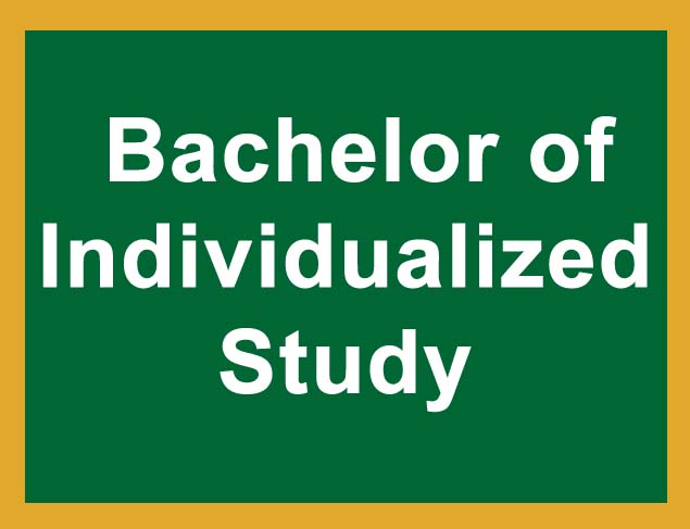 Bachelor of Individualized Study